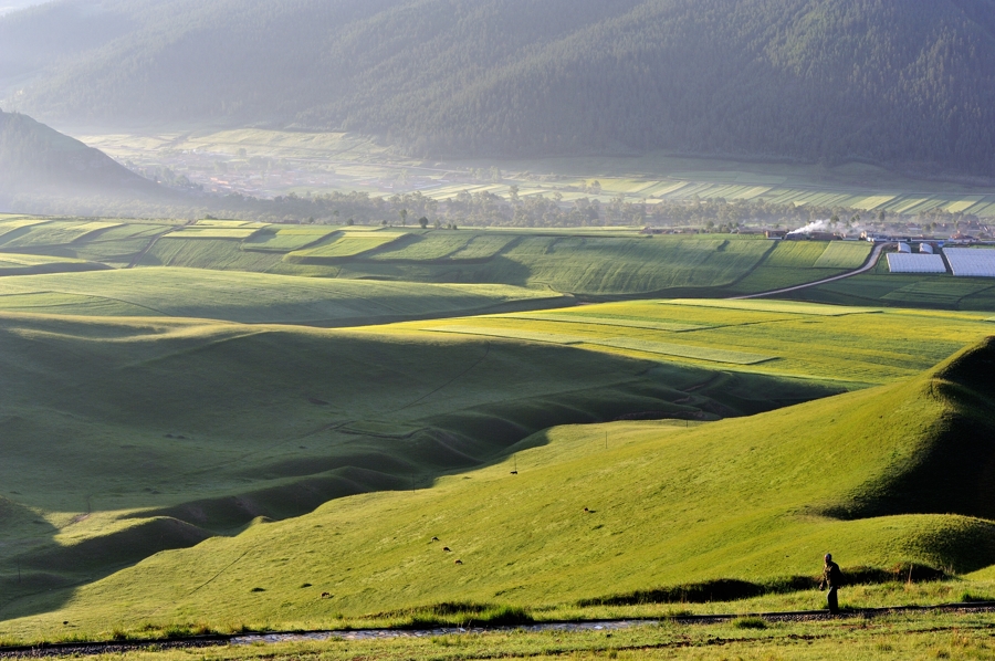 _DSC0908.jpg