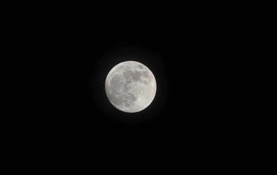 DSC_5374.JPG