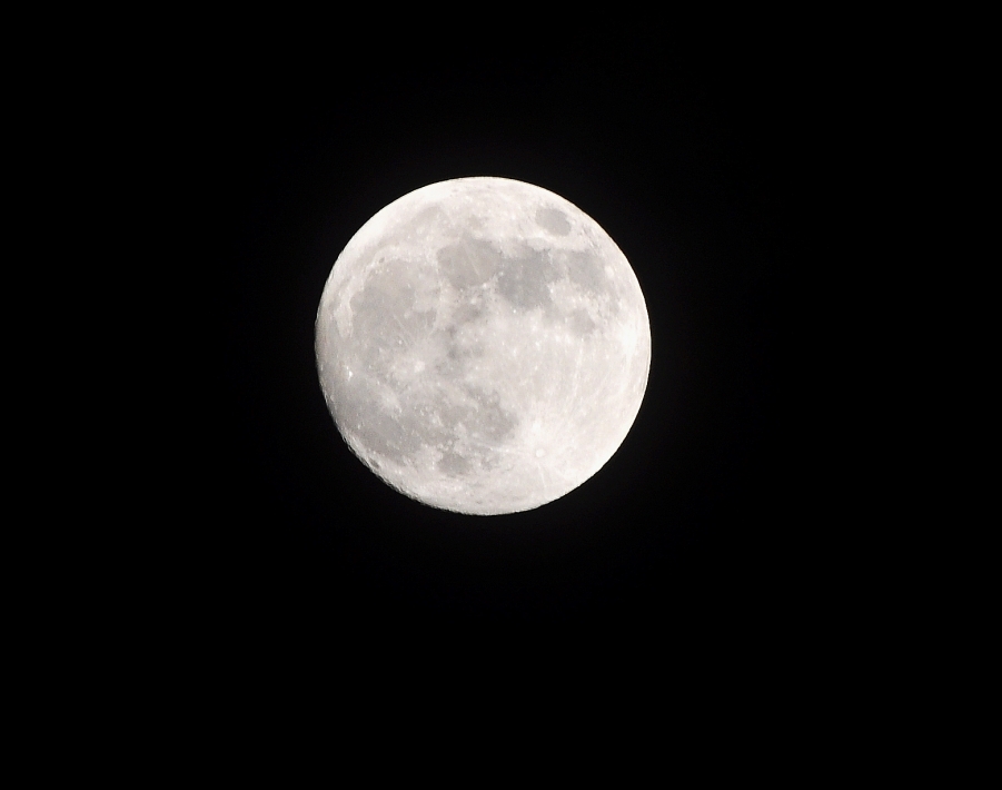 DSC_5369.JPG