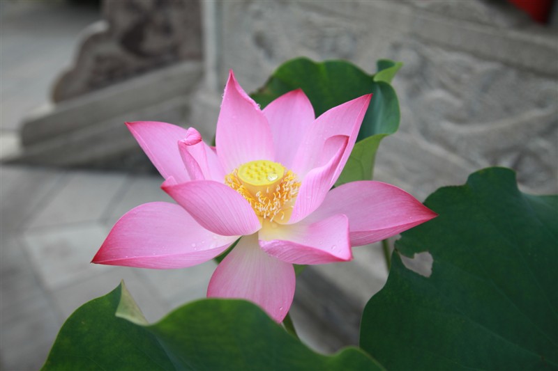 照片 004.jpg