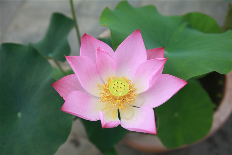 照片 010.jpg