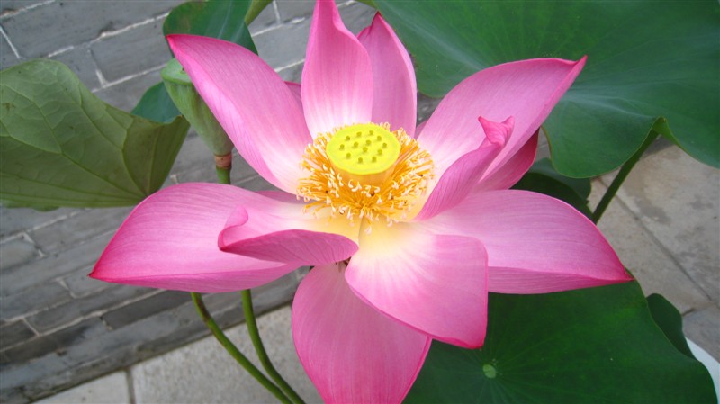照片 098.jpg