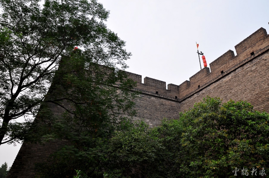 DSC_1500.jpg