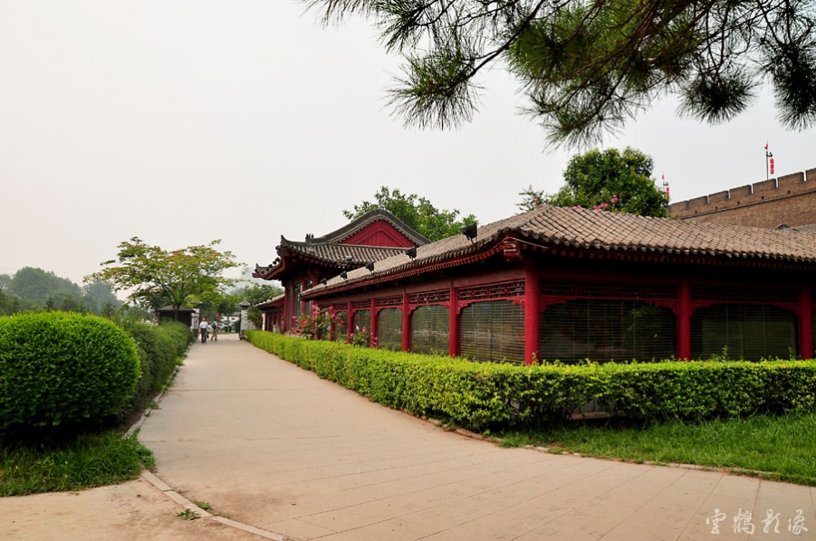 DSC_1515.jpg