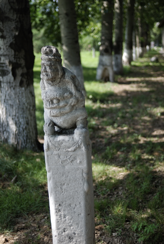 DSC_6411.jpg