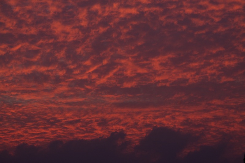 _MG_2564.jpg