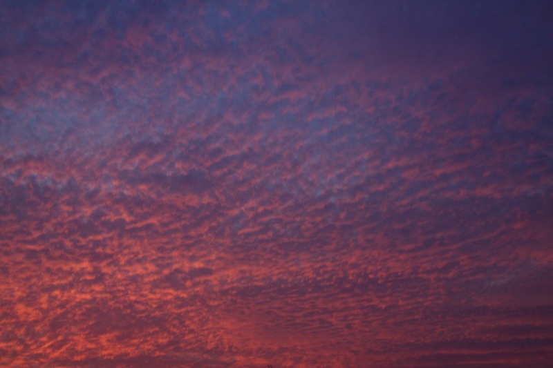 _MG_2565.jpg