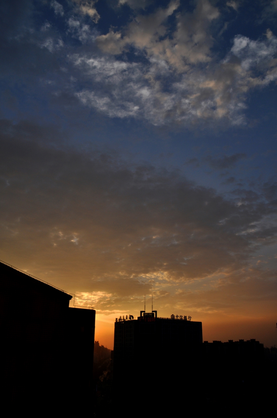 DSC_0200.jpg