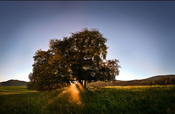 Goldener_Oktober_By_Maximillian_Zimmermann.JPG