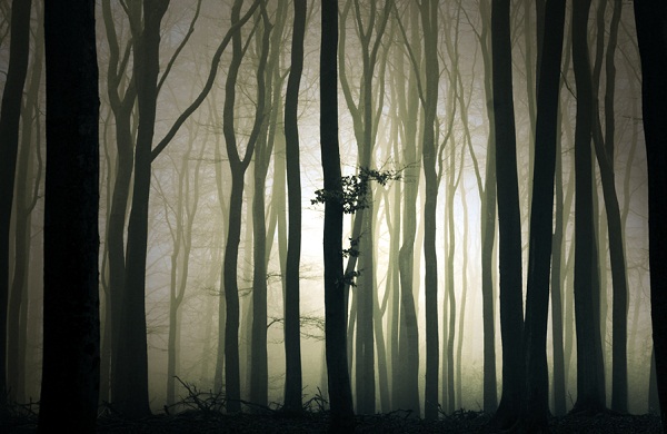 Mysterious light By Theo Peekstok.jpg