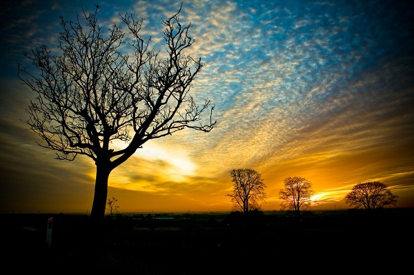 40幅绝美的夕阳摄影作品40stunningexamplesofsunsetphotography