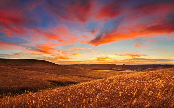 prairie_sunset_by_juddpatterson.jpg