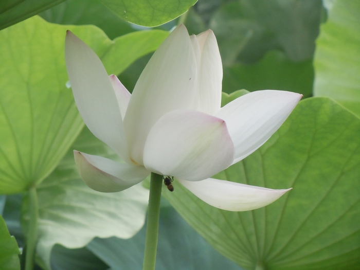 照片 054.jpg