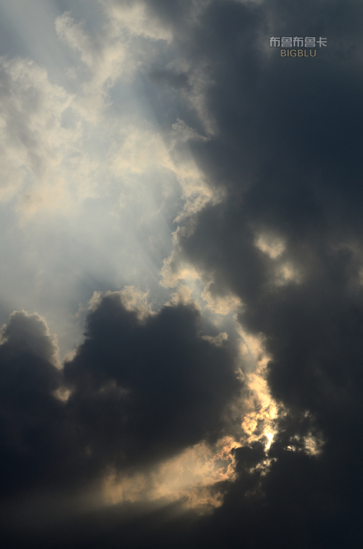_DSC7988.jpg