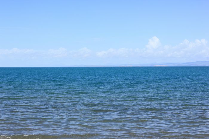nEO_IMG_青海湖63.jpg