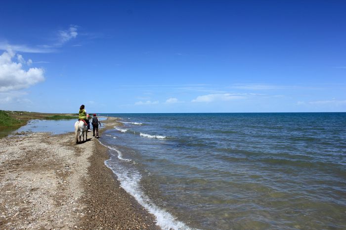 nEO_IMG_青海湖68.jpg