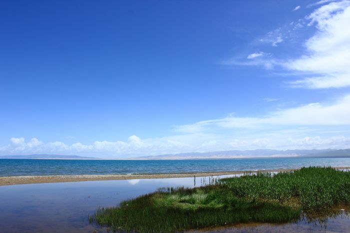 nEO_IMG_青海湖77.jpg