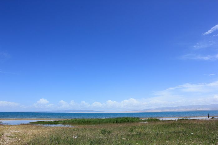 nEO_IMG_青海湖80.jpg