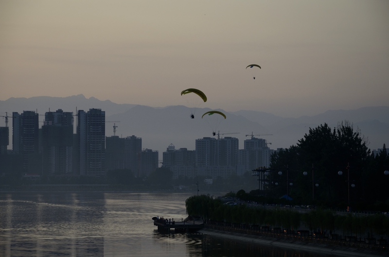_DSC0374.jpg