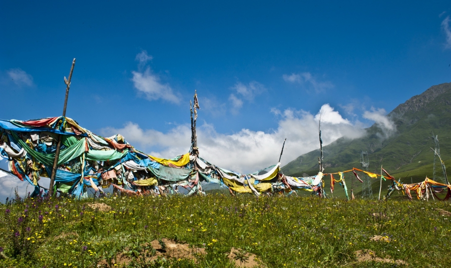 DSC_9287.JPG