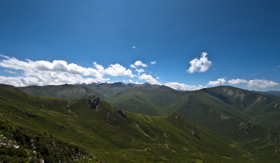 DSC_0268.JPG