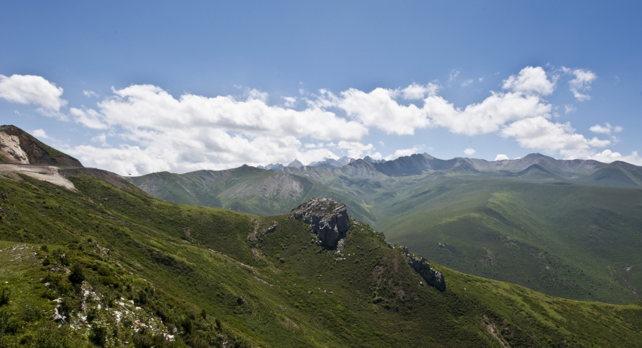 DSC_0263.JPG