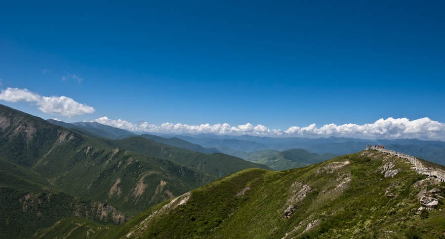 DSC_0266.JPG