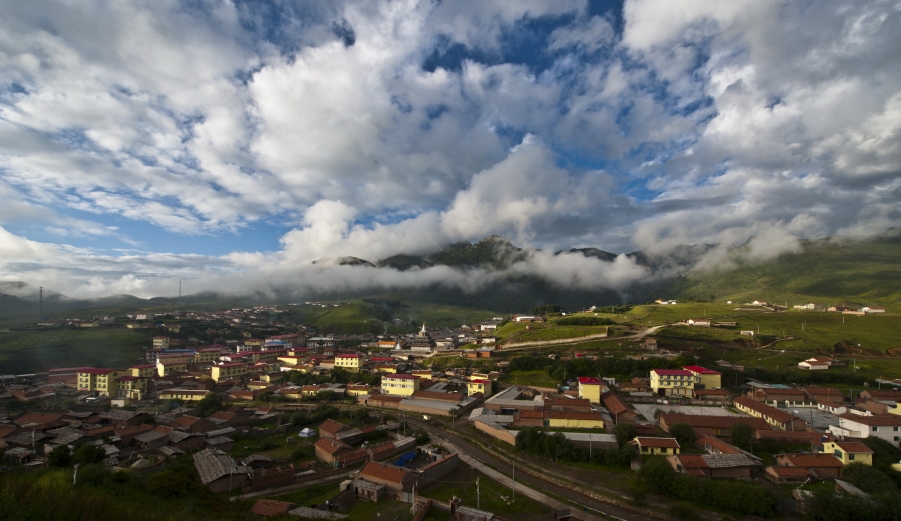 DSC_9879.JPG