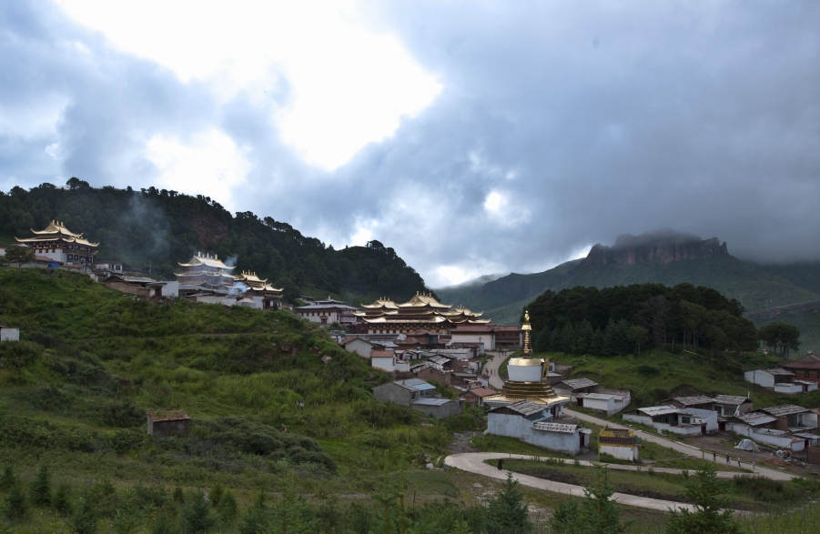 DSC_9915.JPG
