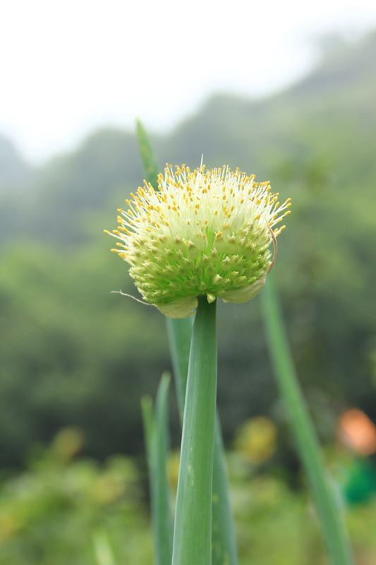 照片 061.jpg