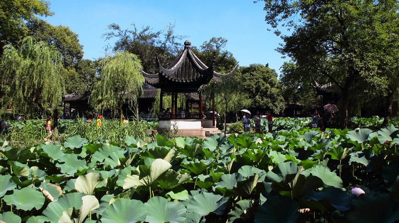 ZHU_00032.jpg
