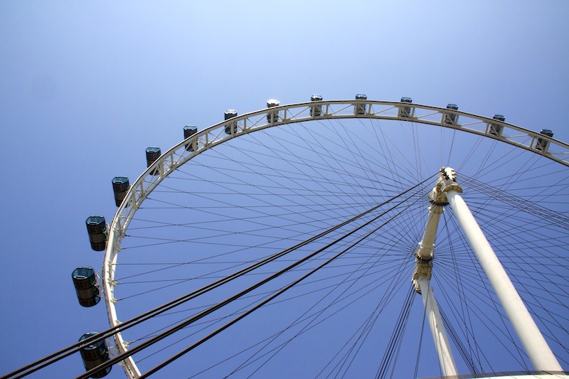 _MG_2489.jpg