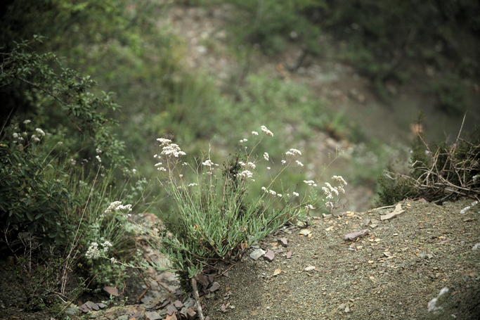201208老，小刘山西游。211.JPG