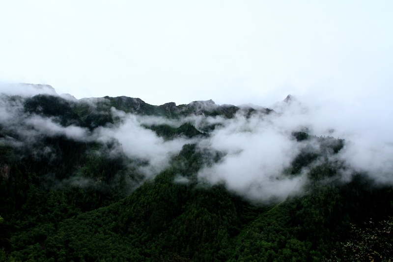 西藏 1097.jpg