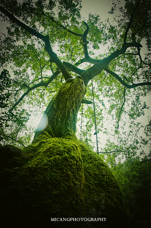 20120724-DSC_0329_副本.jpg