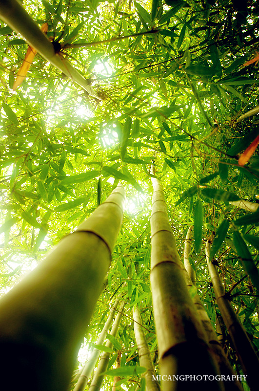 20120727-DSC_0355_副本.jpg