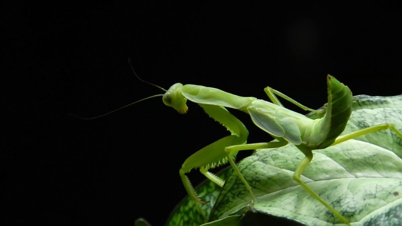 a17399509_s.jpg