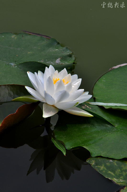 DSC_1624.jpg