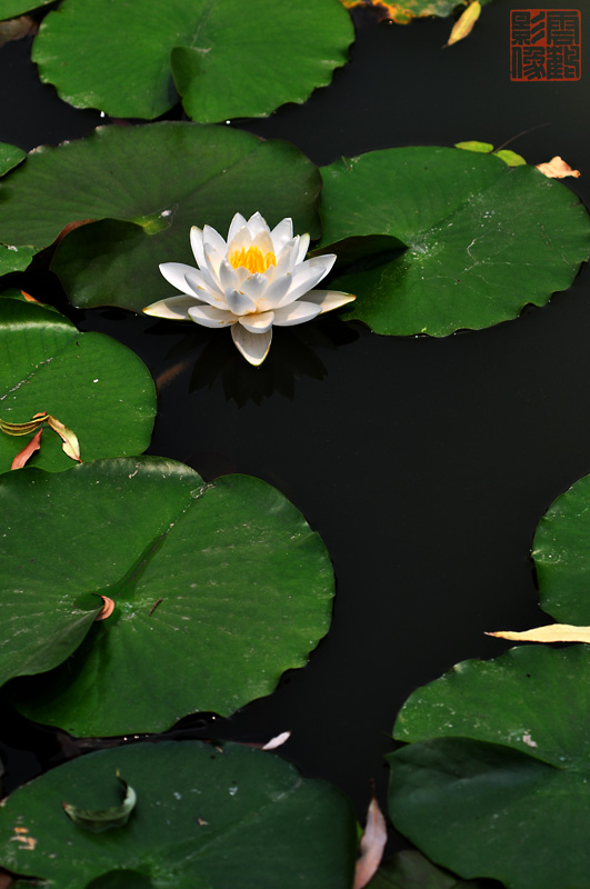 DSC_1767.jpg