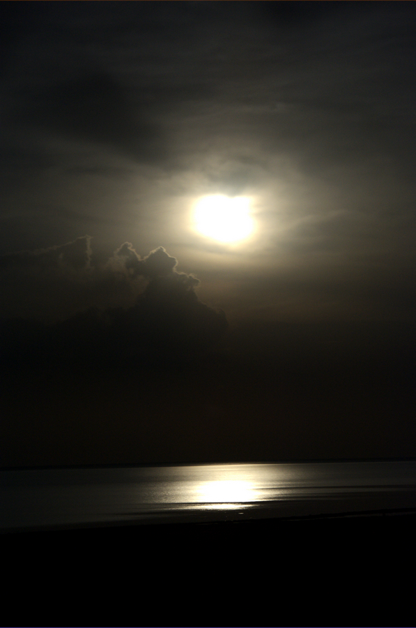 DSC_4403.jpg