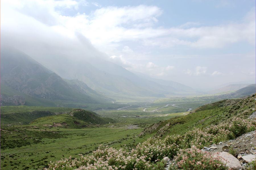 DSC_4883.jpg
