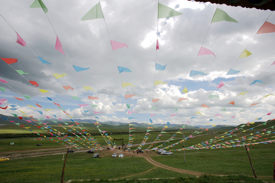DSC_4941.jpg