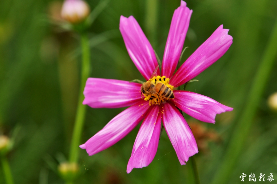 DSC_1671.jpg