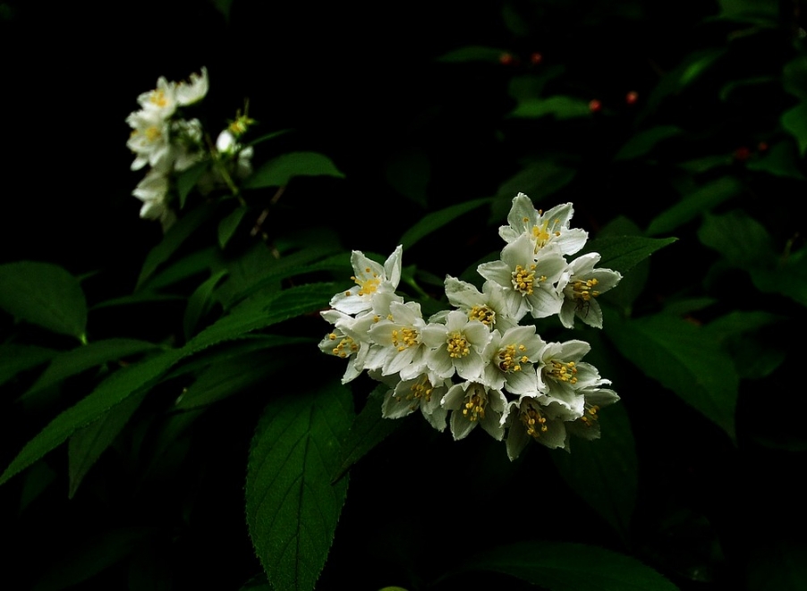 a17141334_01000.jpg