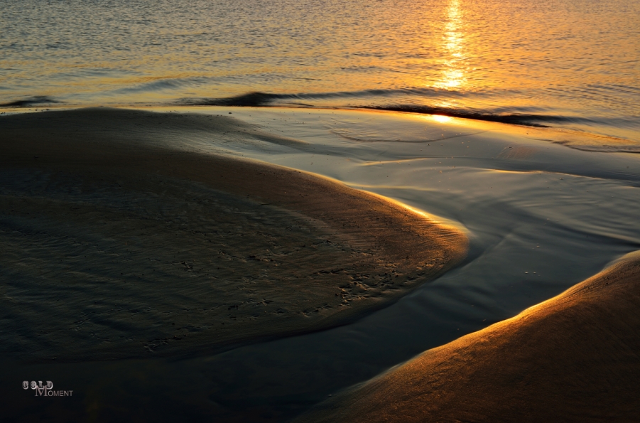 DSC_1622.jpg