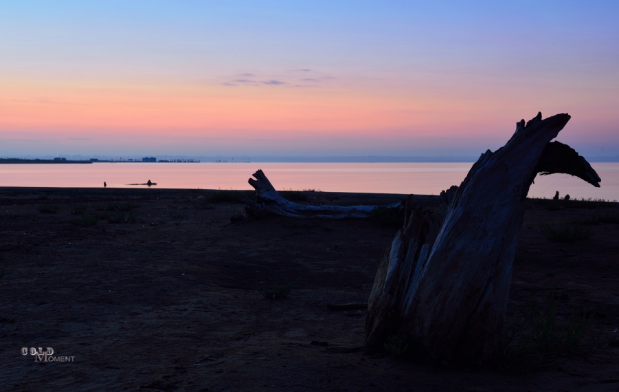 DSC_1726.jpg