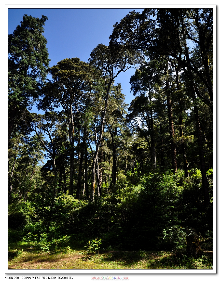 DSC_0743.jpg