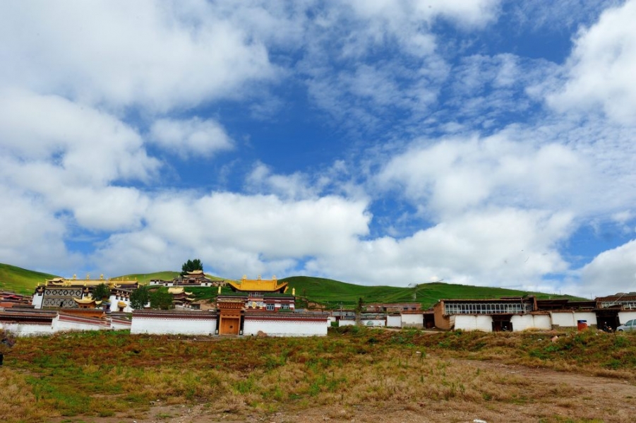 DSC_2847.jpg