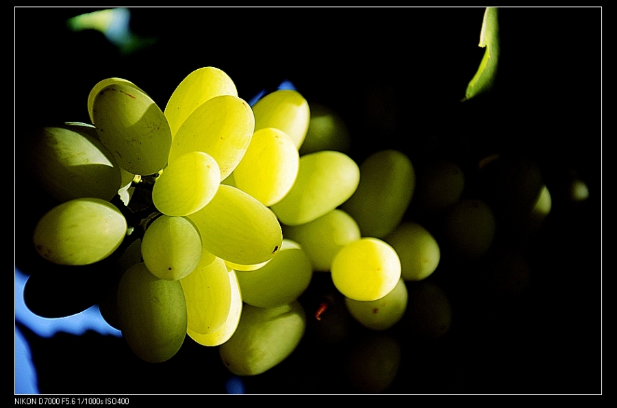 nEO_IMG_DSC_4878.jpg