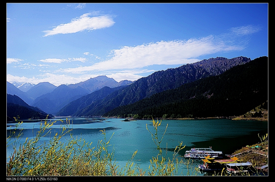 nEO_IMG_DSC_5079.jpg